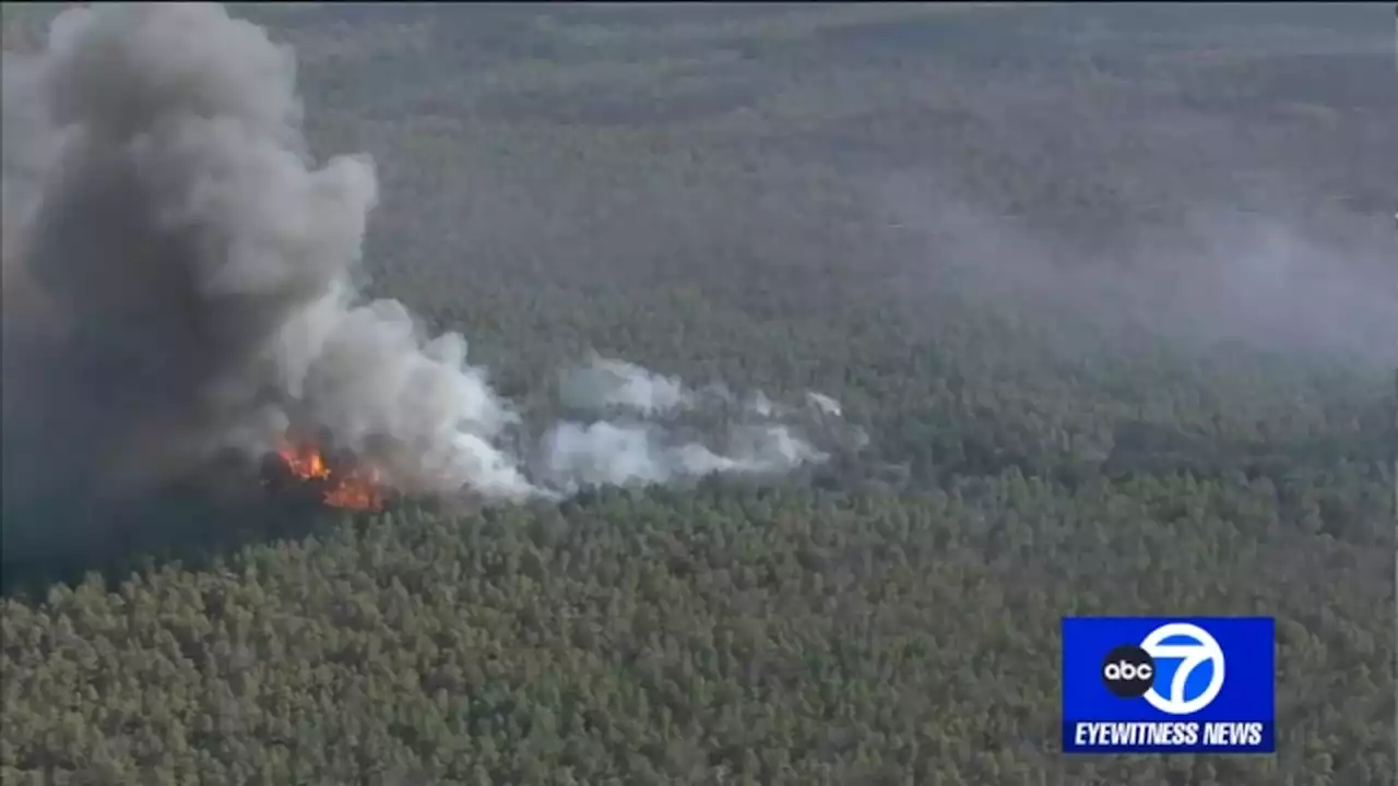 Extra Time: How nature plays role in spread of flames as wildfire burns in New Jersey