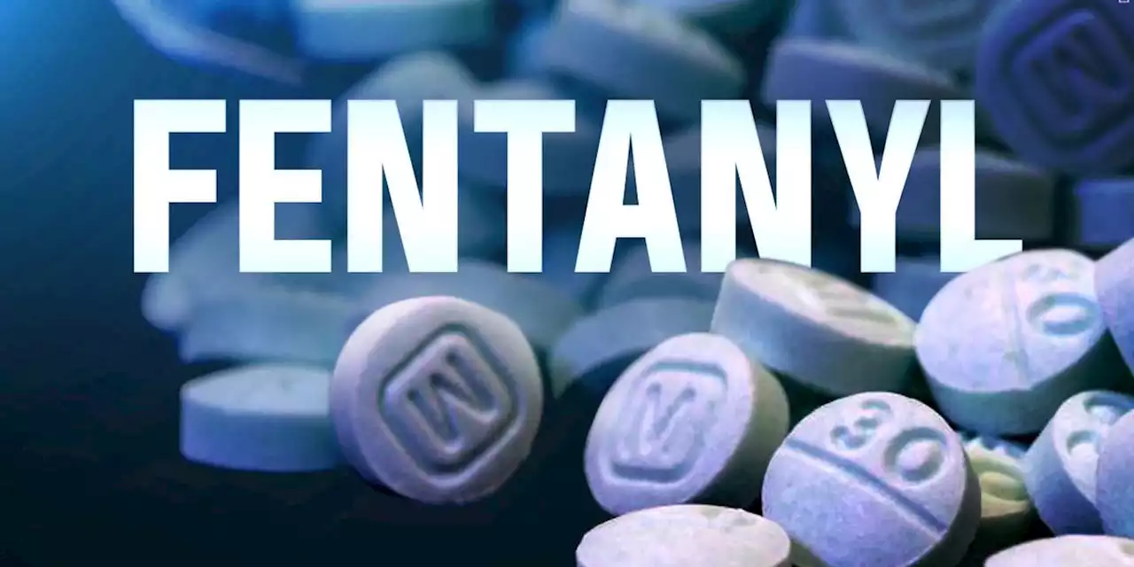 5 Anchorage School District students have overdosed on fentanyl in 2023