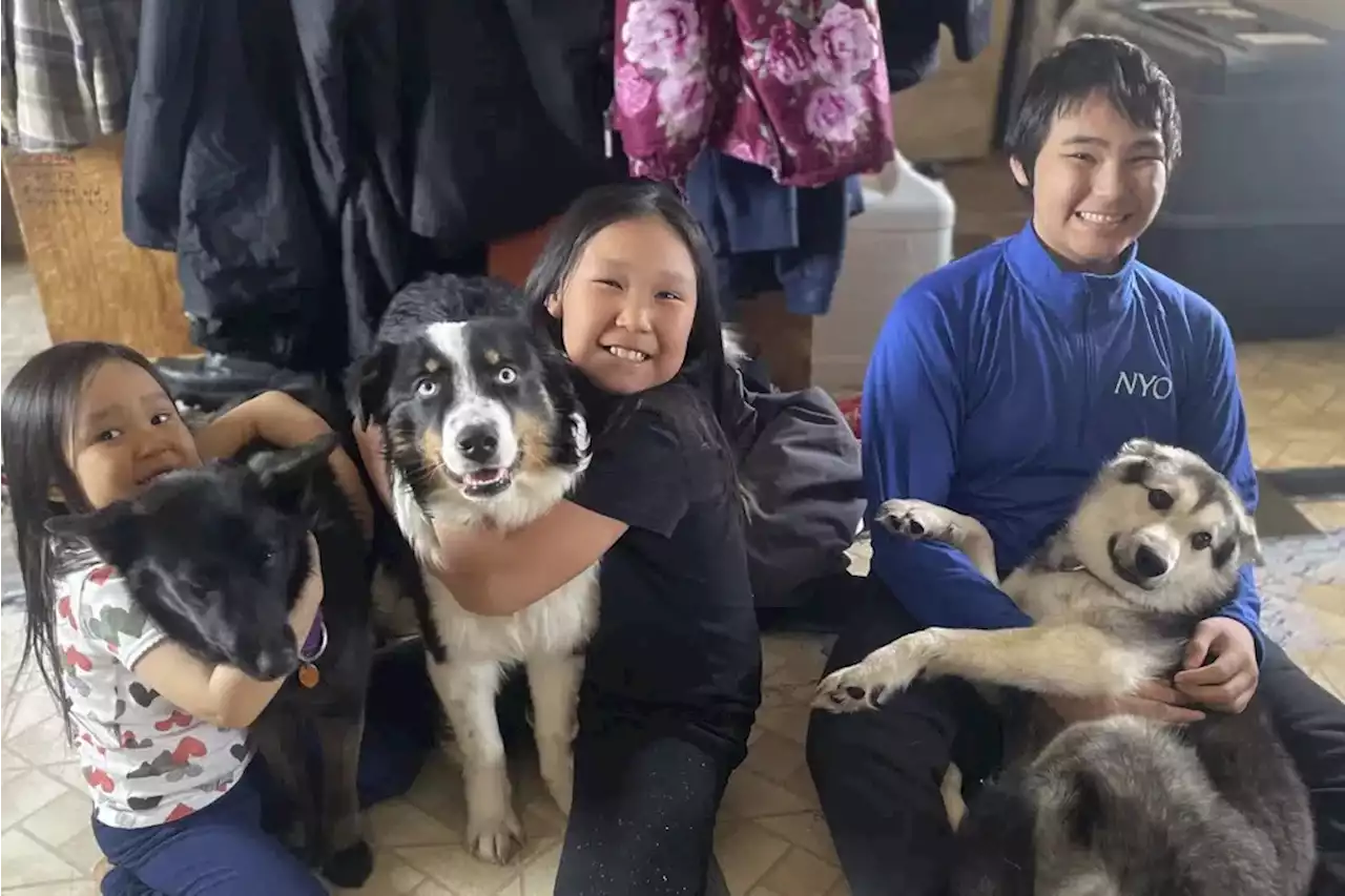 Pet arrives home, dog-tired, after Alaska sea-ice odyssey