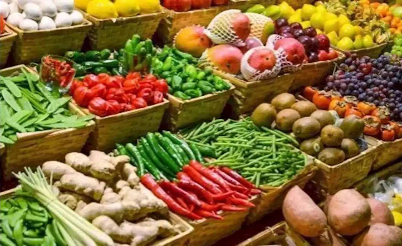 South Africans Have Starkly Unequal Access to a Healthy Diet - the Solution Requires Tackling Deep-Seated Historical Injustice