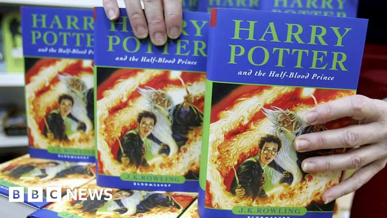 Harry Potter books to be made into new TV series