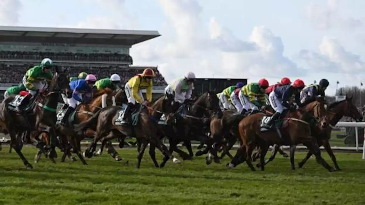 Line-up confirmed for Grand National at Aintree