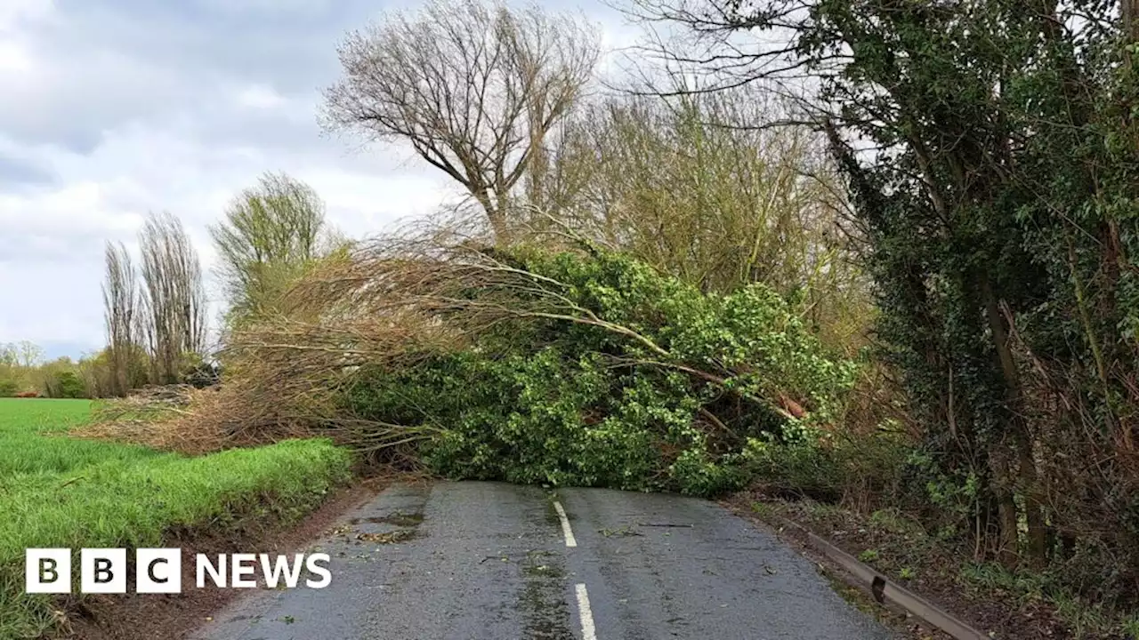 Storm Noa: Suffolk road blocked for four hours by tree collapse