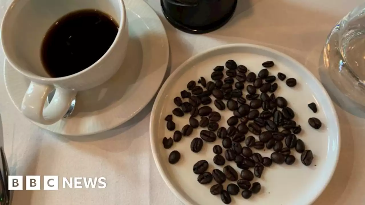 The bean that could change the taste of coffee