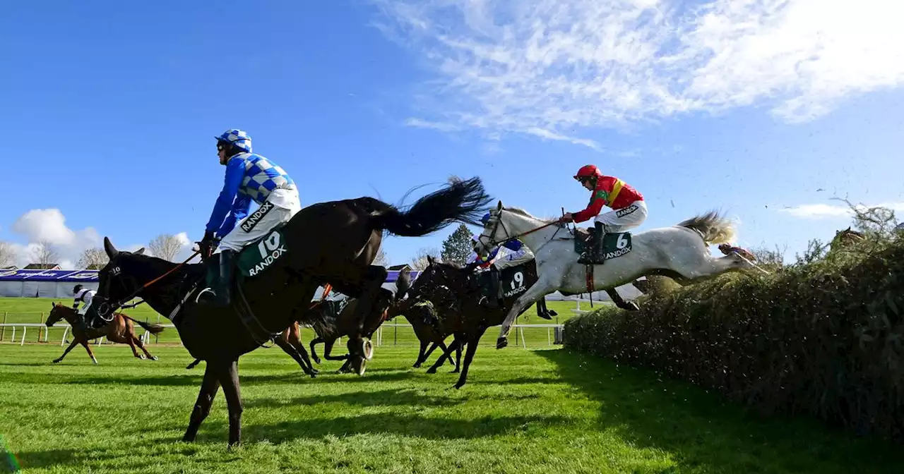 Horse suffers fatal injury at Grand National opening day