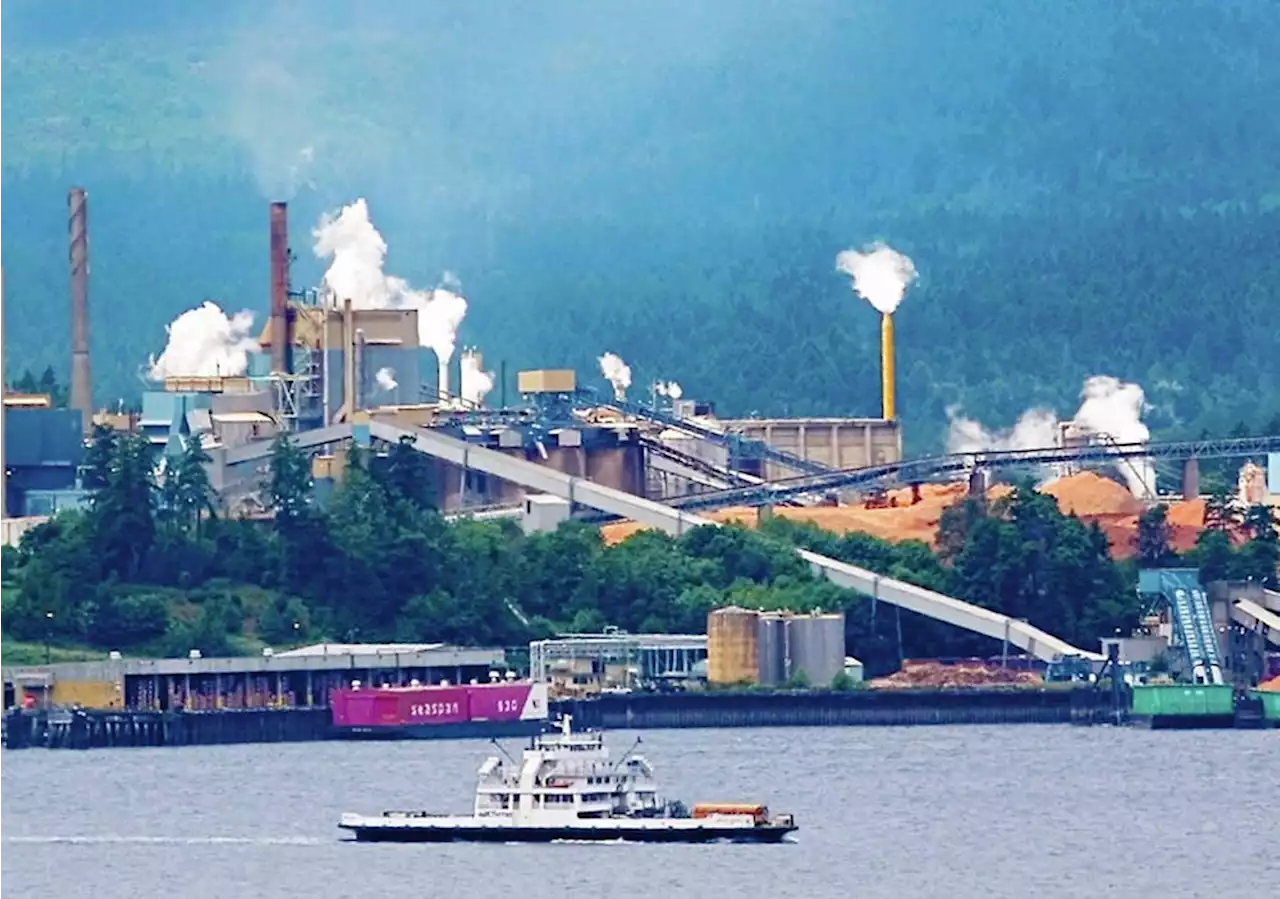 NDP members pass motion for B.C. government to investigate forestry company