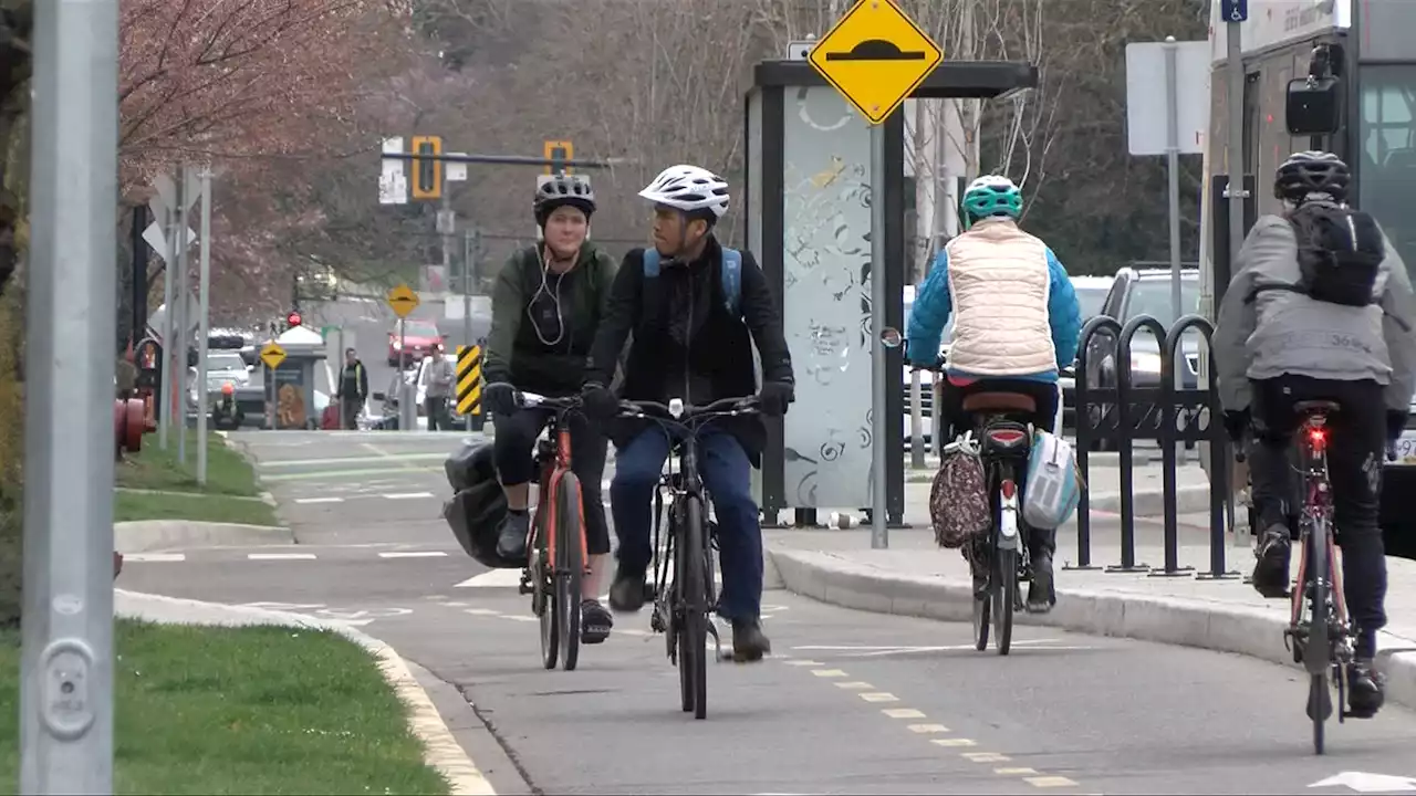 Construction to begin on Fort Street bike lanes