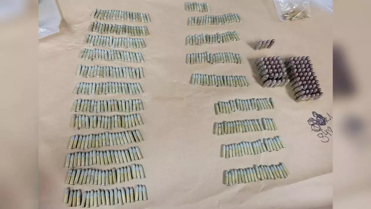 Saanich police find 500 rounds of ammo during arrest