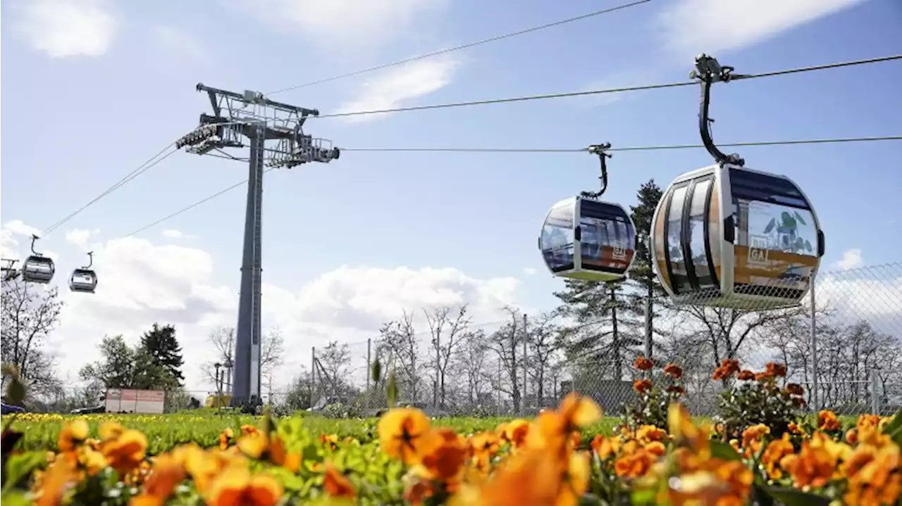 Bundesgartenschau eröffnet: Blumen, Seilbahn und viel Kritik