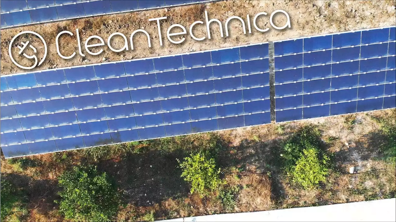 Indian Company Secures Debt For 300 Megawatt Amazon Renewable Project - CleanTechnica