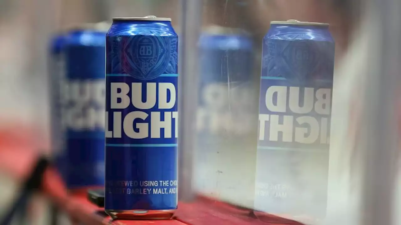 Bud Light's inclusive ad campaigns are good for business, experts say | CNN Business