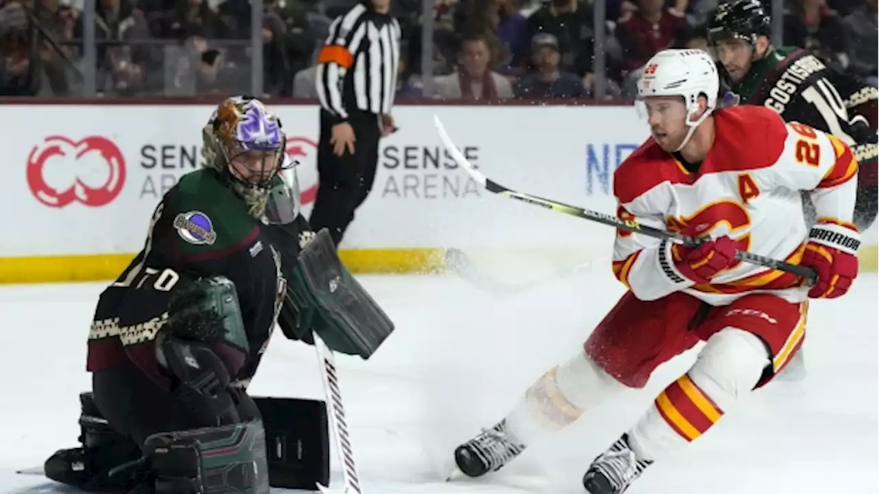 Zadorov hat trick lifts Calgary Flames to season-ending win over San Jose Sharks