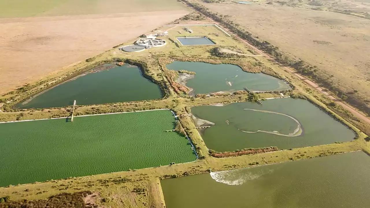 TOXIC INC: Causes of fish die-off and stench at Jeffreys Bay’s Seekoei Estuary still a mystery