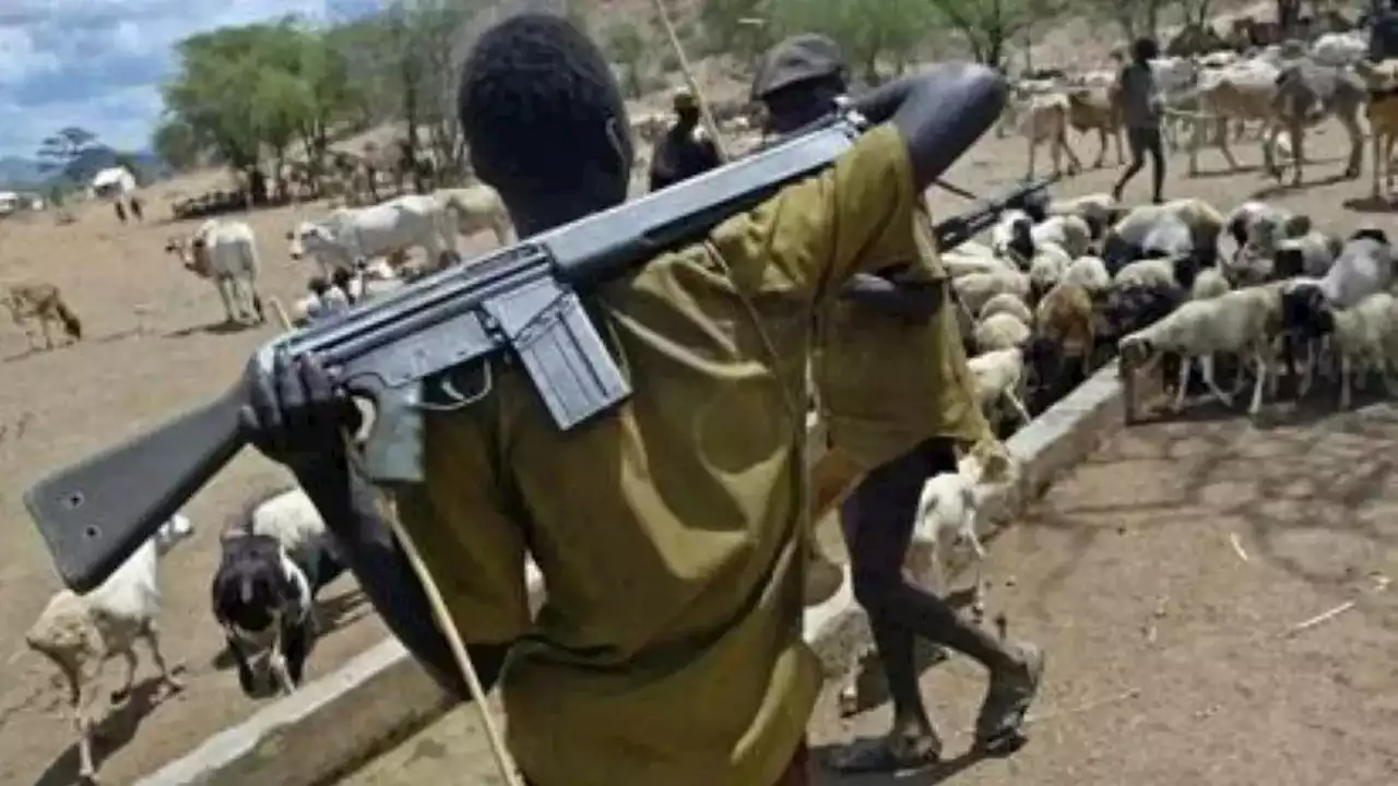 Armed militia kill nine persons in Southern Kaduna