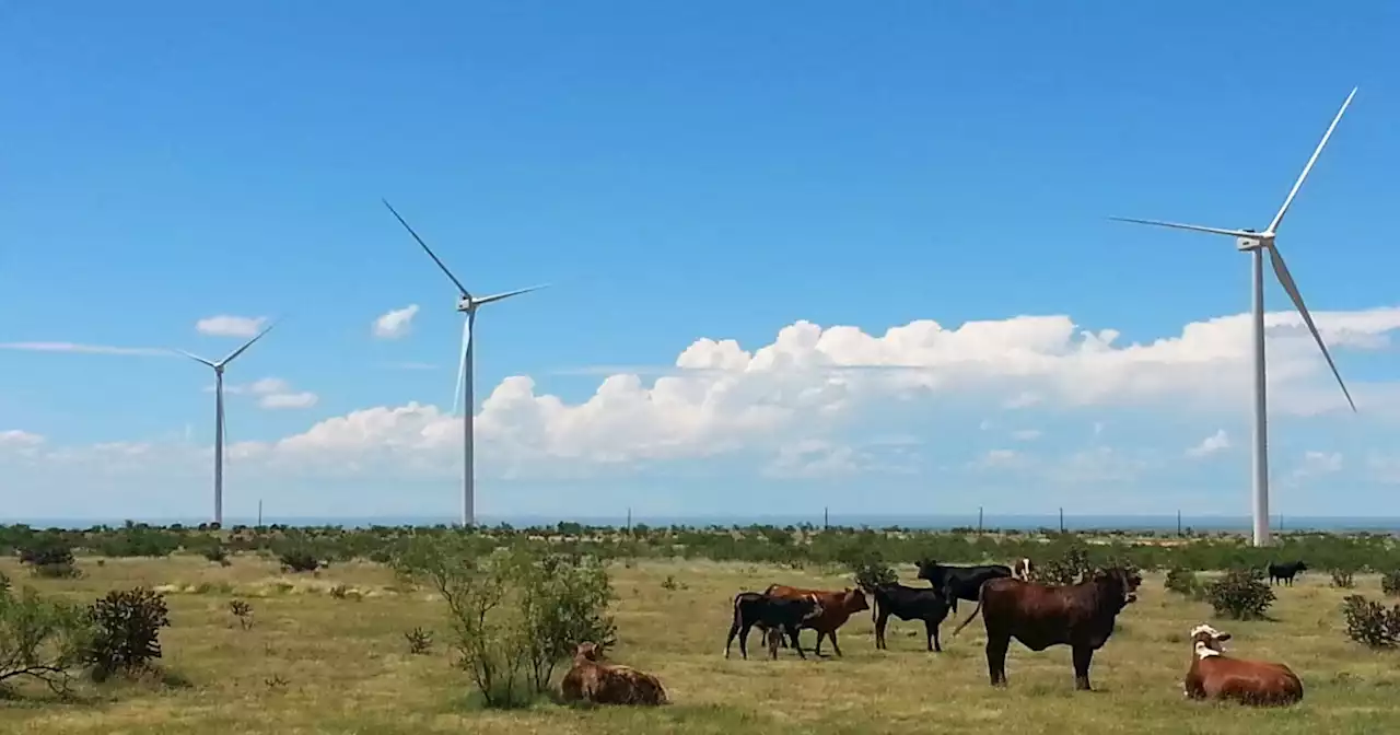 Texans could see utility sticker shock from GOP push against renewable energy