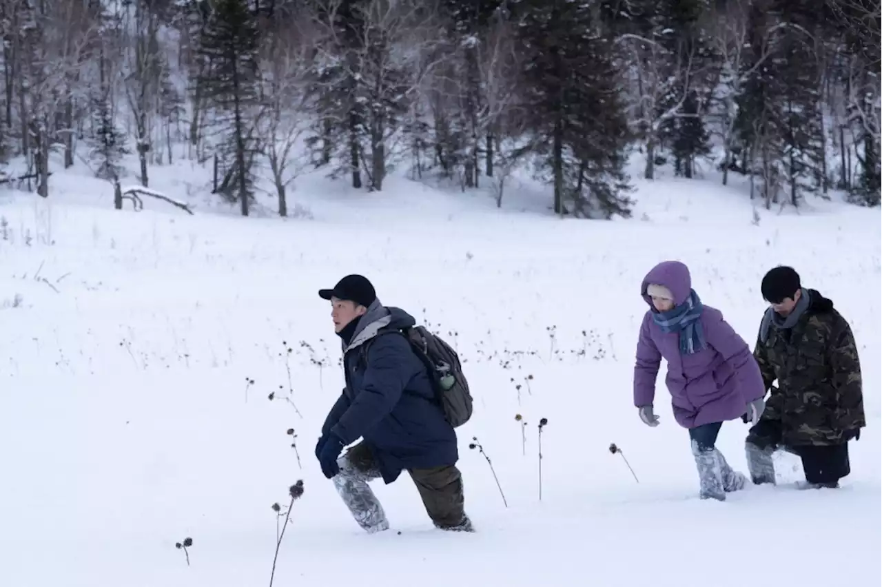 China’s Rediance Reveals First-Look Images For Cannes Un Certain Regard Selection ‘The Breaking Ice’