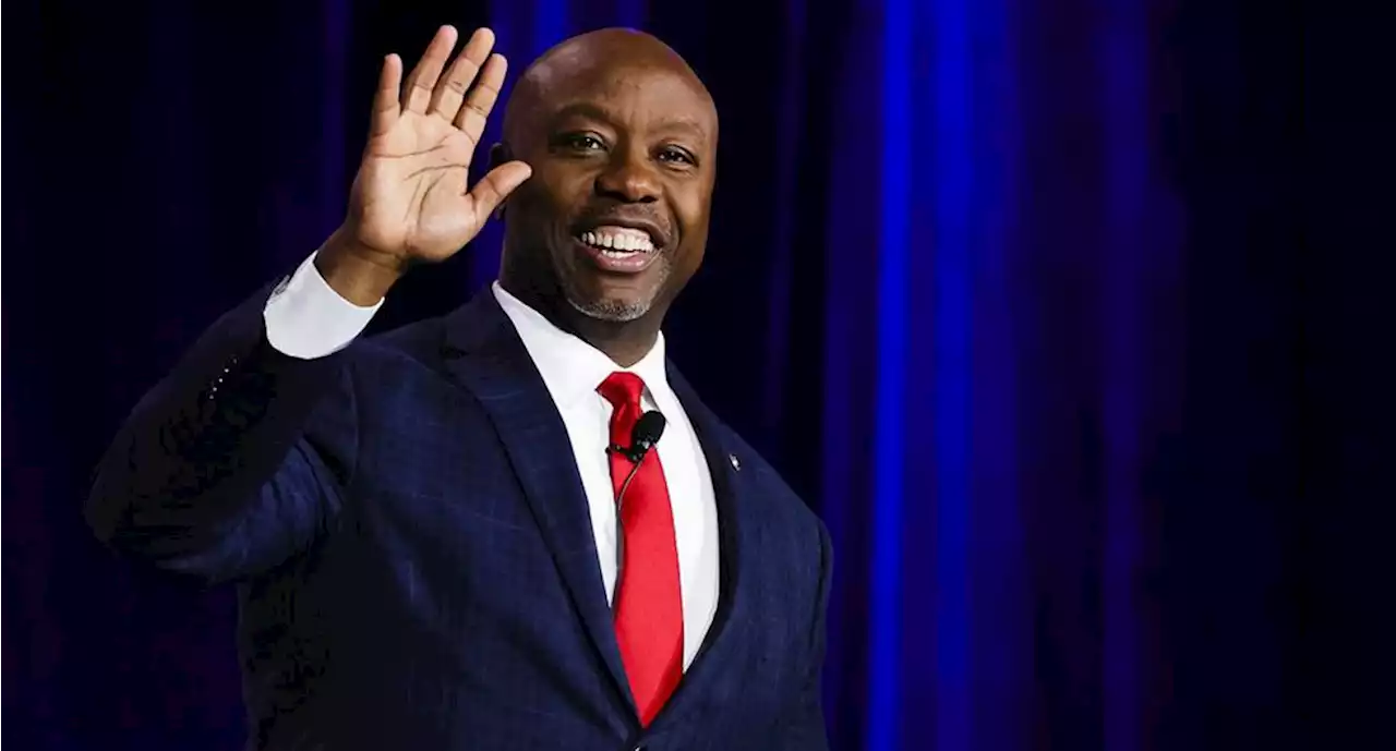 Tim Scott se prepara para competir por la candidatura del Partido Republicano de 2024 | El Universal