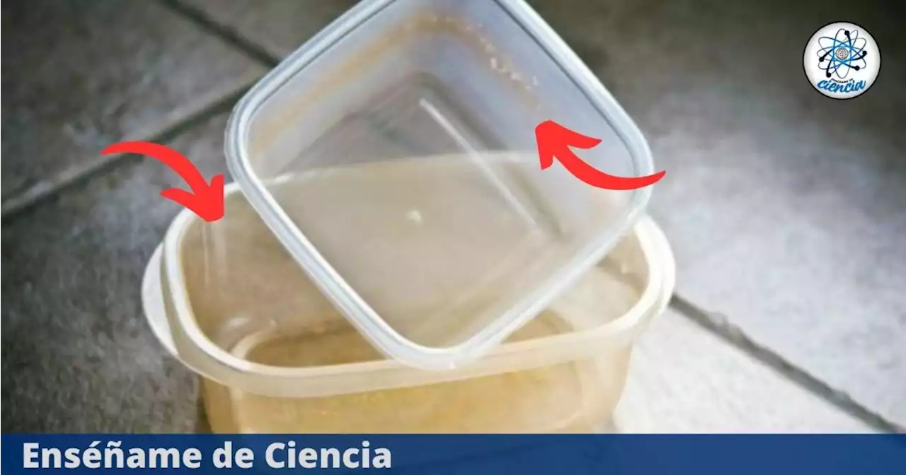 El popular ingrediente de cocina que te permitirá eliminar las manchas de salsa de los táperes