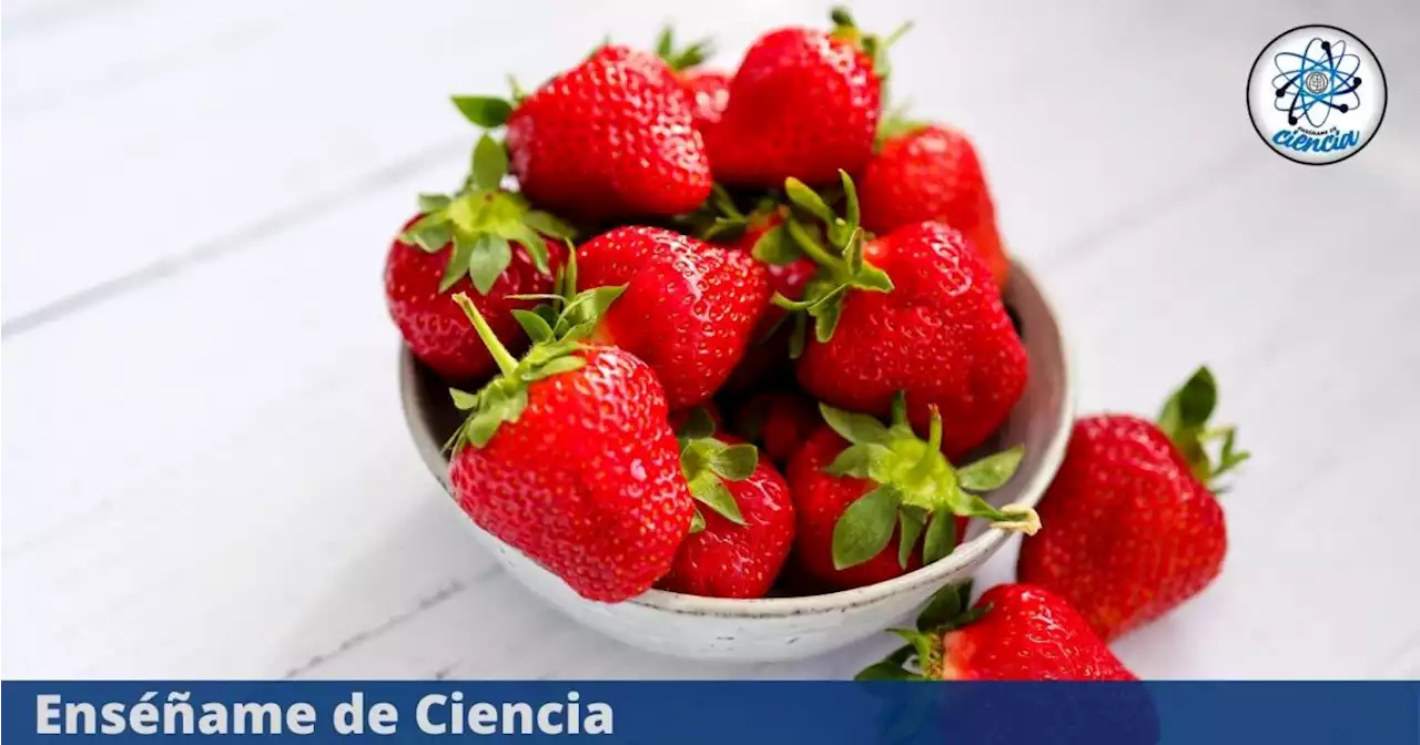 La manera correcta de lavar y desinfectar las fresas, según la ciencia