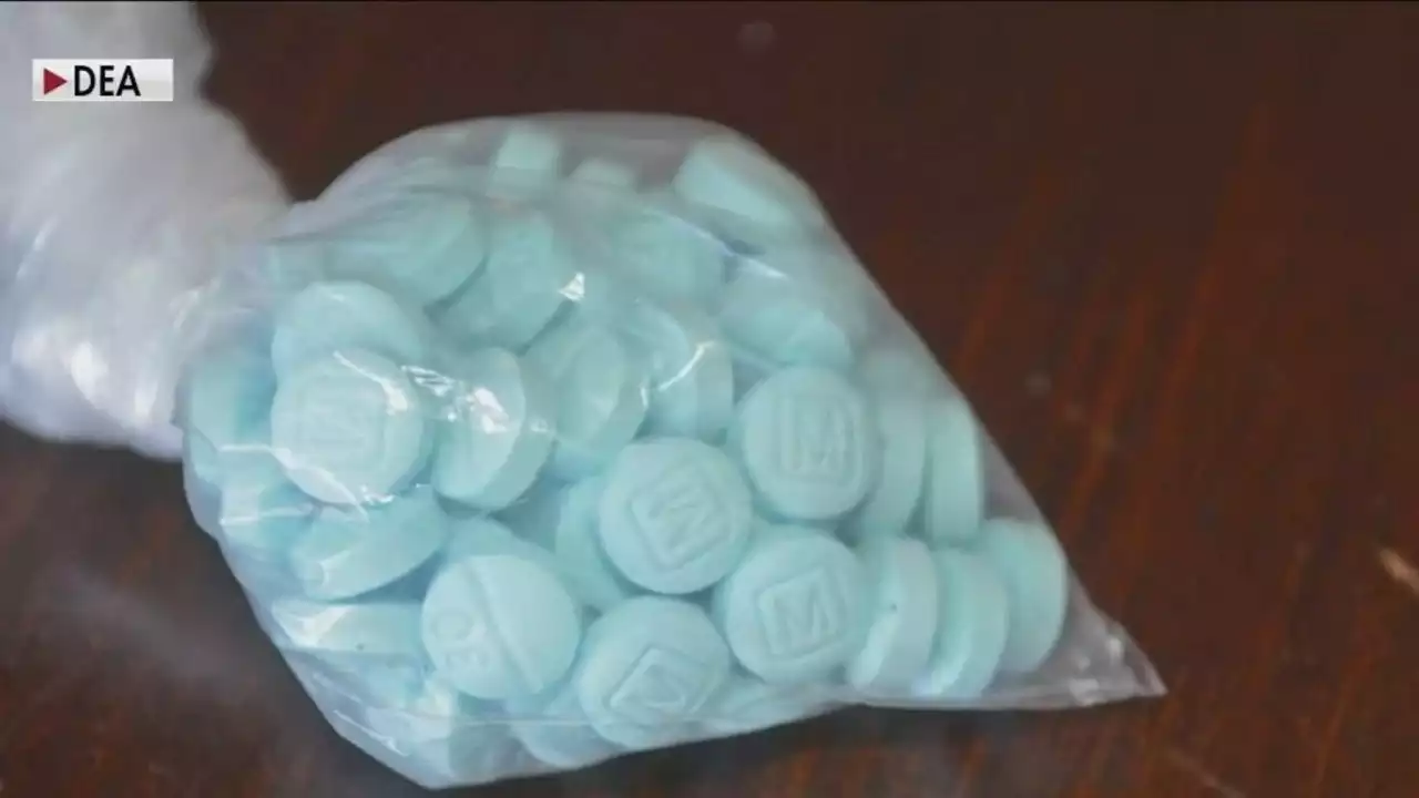 Lane Tech, DEA partner up to highlight the dangers of fentanyl