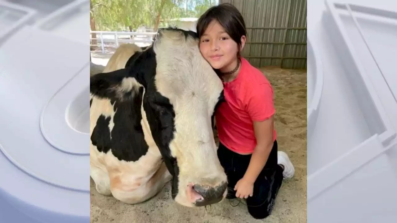 Compassionate Sophia wants to care for animals