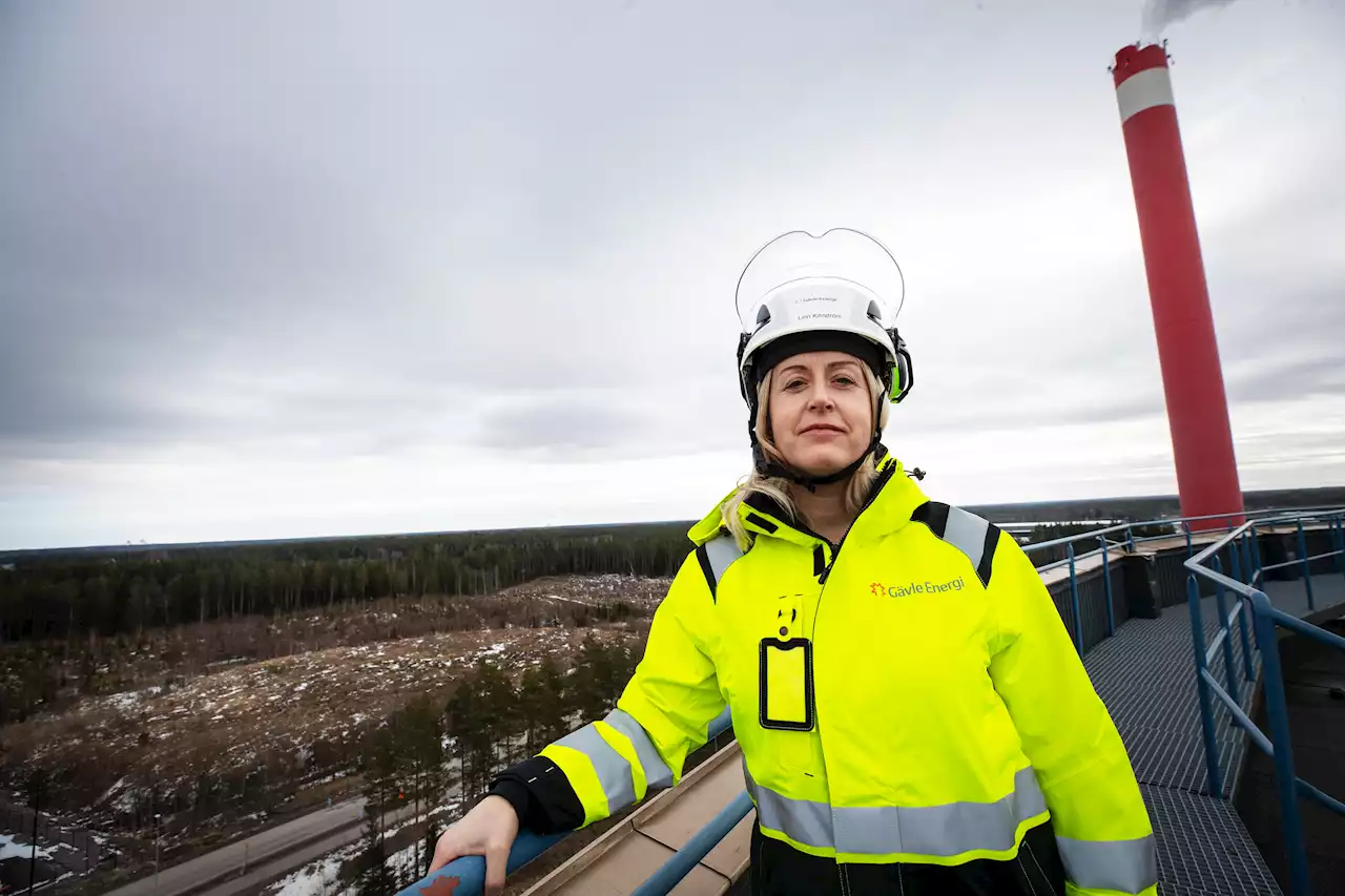 Nya satsningen: ”Större tillgång på el leder till lägre priser”