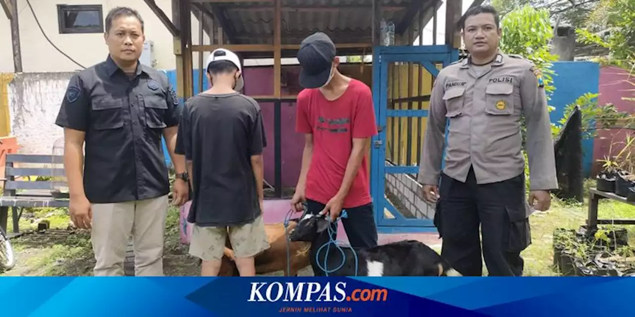 2 Pencuri Kambing Tertangkap gara-gara Motor yang Dikendarainya Mogok