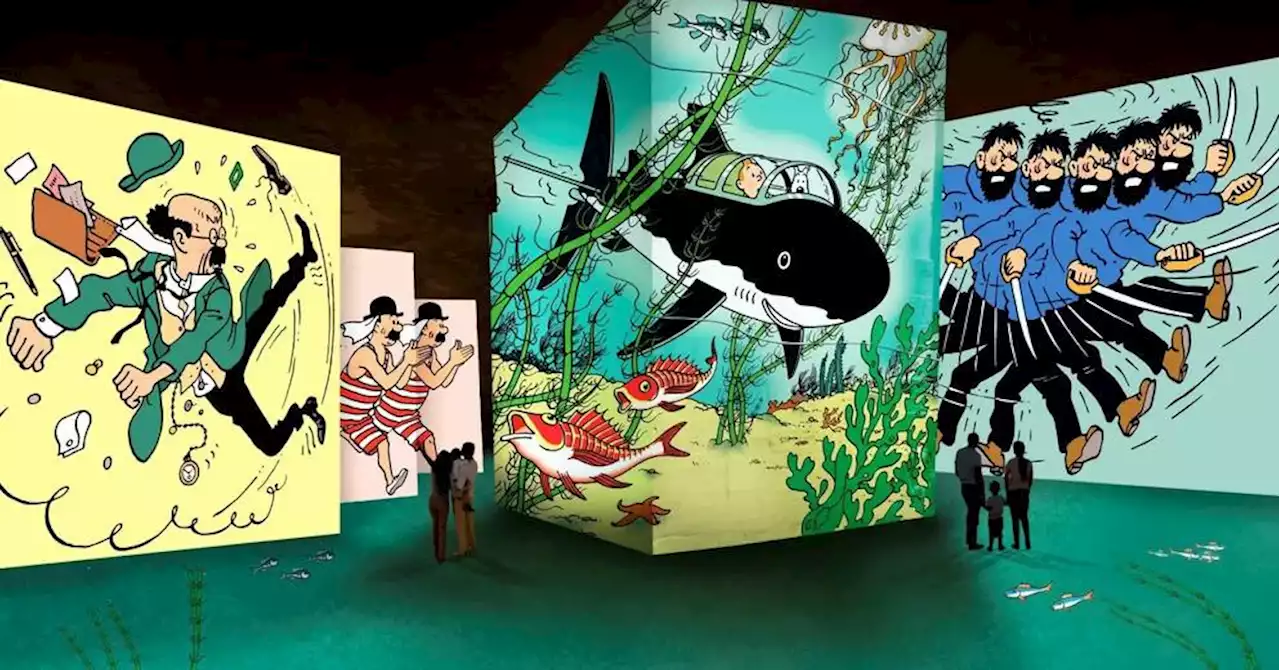 Les Baux-de-Provence : tout savoir sur l'expo Tintin aux Carrières des lumières