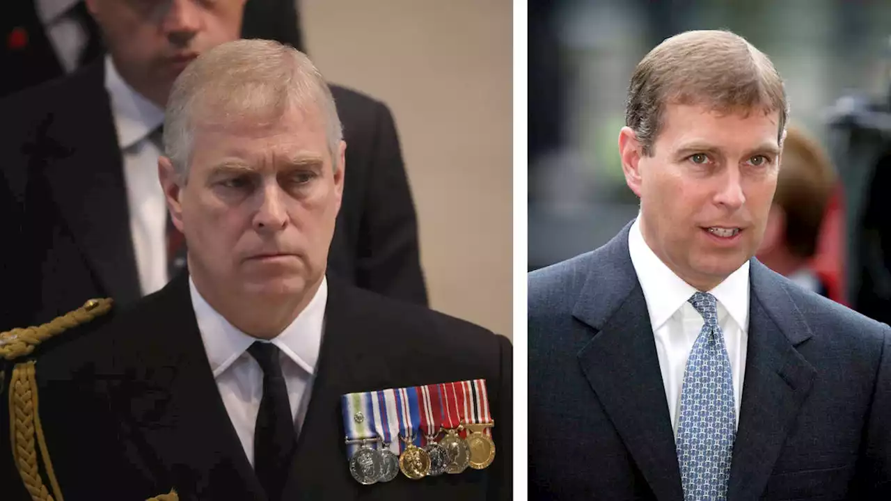 'Six foot ironing board and room temperature water': Prince Andrew's trade envoy demands revealed by former diplomat