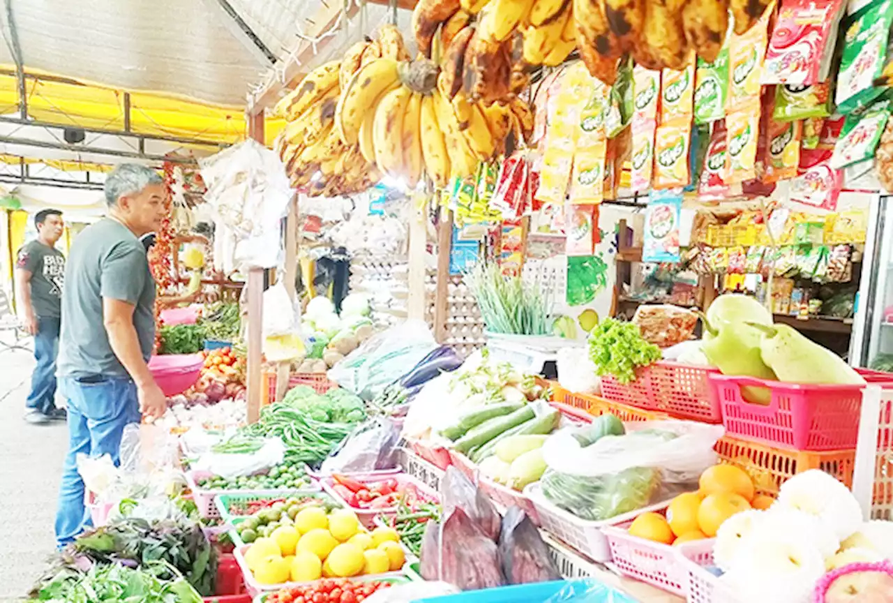 Inflation slows down in Western Visayas to 9.1%