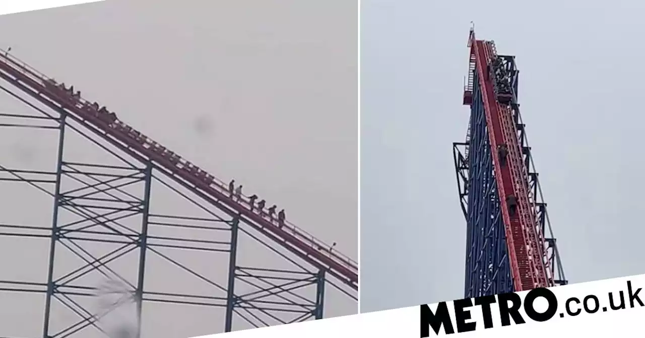 UK's biggest rollercoaster grinds to a halt forcing evacuation of riders