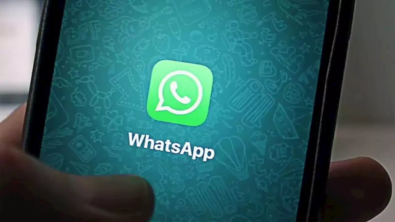 WhatsApp tendrá el &quot;modo compañero&quot;: cómo funciona