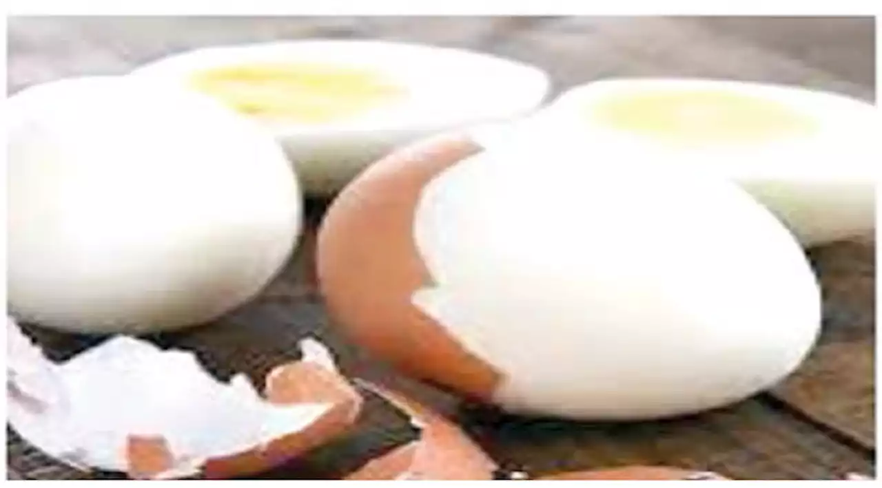 Egg glut: Poultry farmers seek FG's intervention, say states’ mop-up not enough