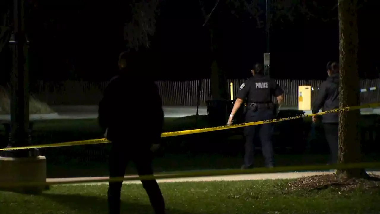 Police Searching For Suspects After Fatal Shooting at Evanston Beach Near Northwestern University