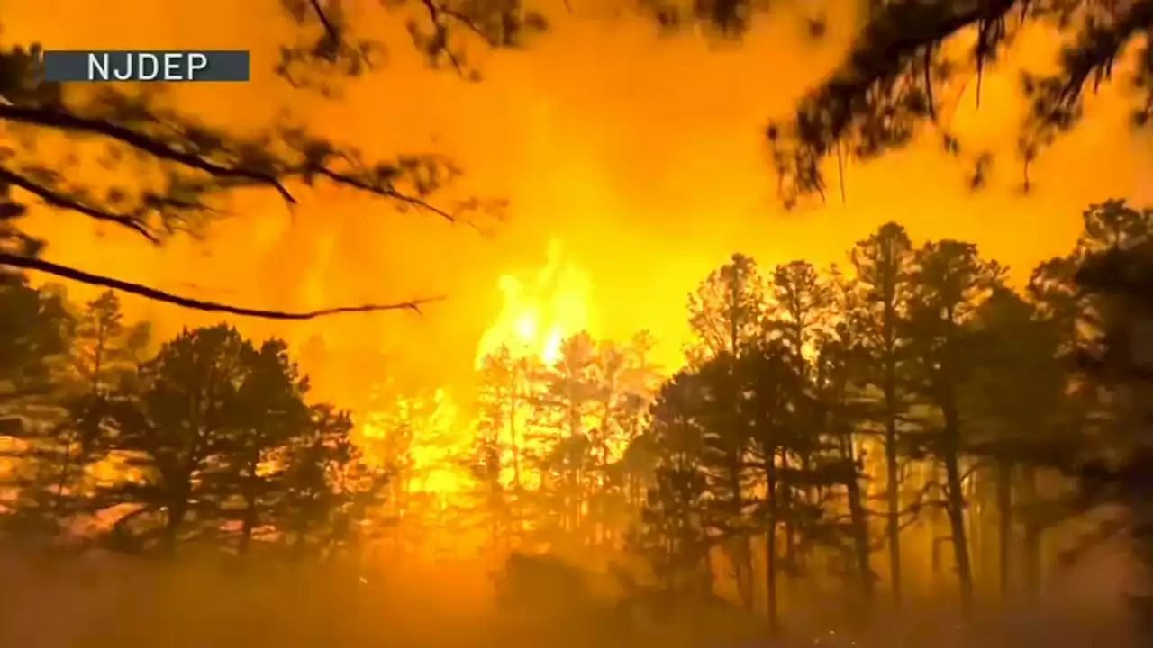 Firefighters Battle Big Flames, Raining Embers During Massive NJ Forest Fire