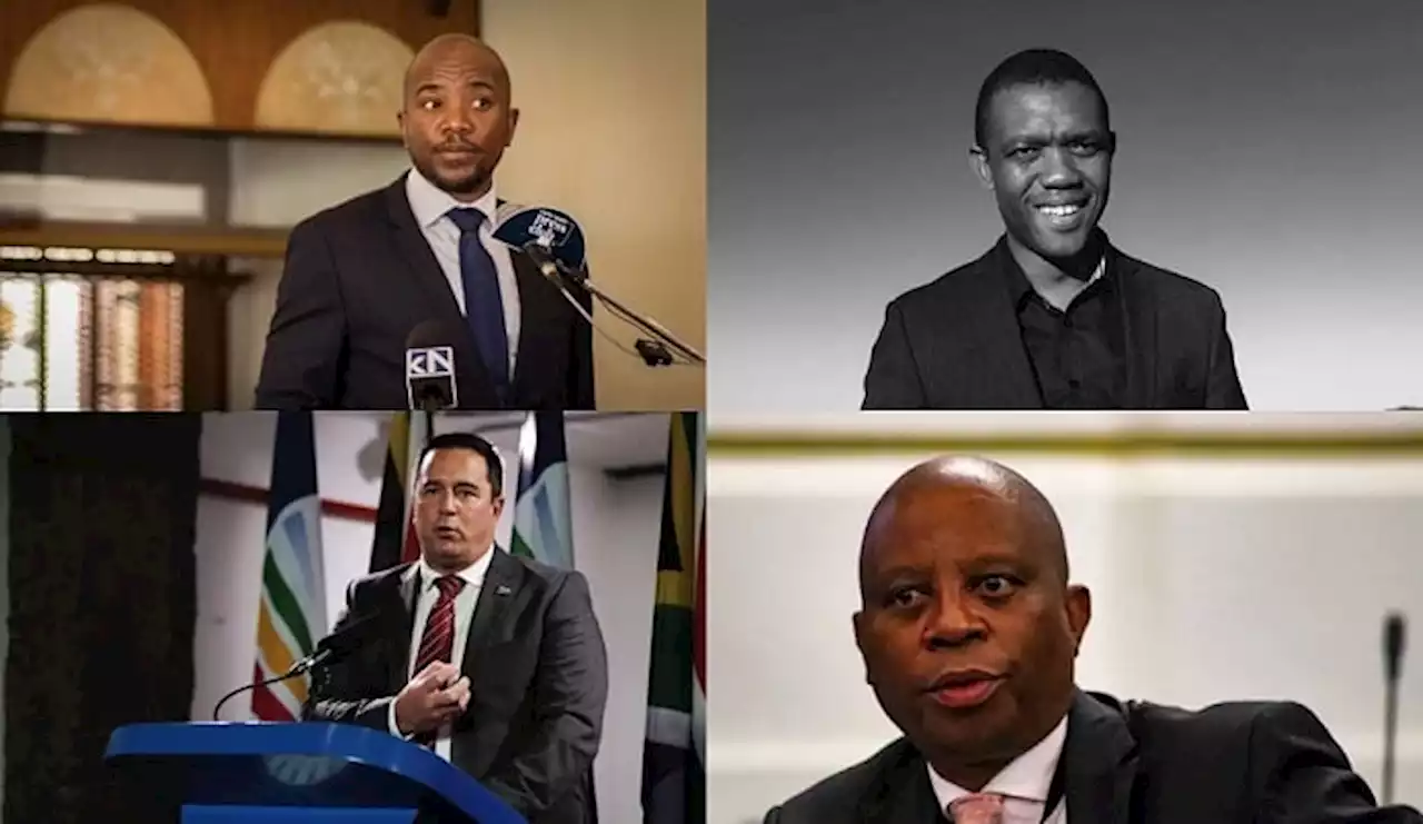 Will political pacts save SA? Steenhuisen, Mashaba and others take hot seat at News24 summit | News24