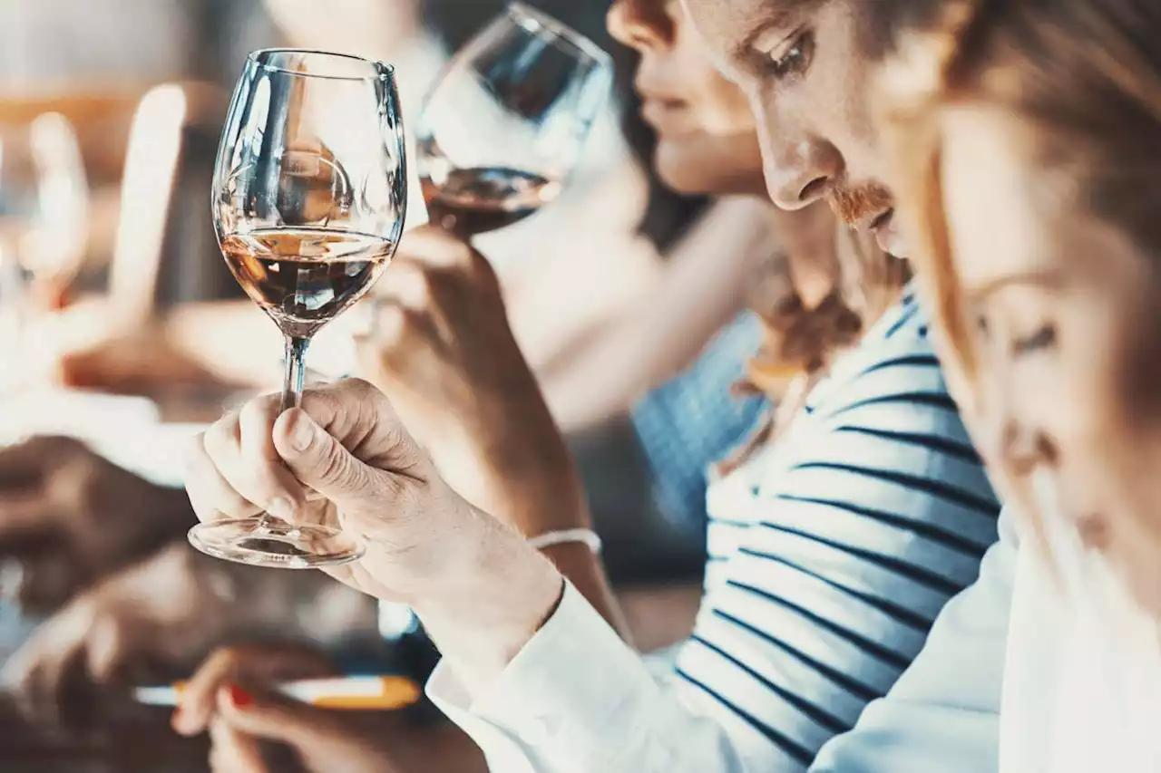 Wine experts’ unique nasal microbiome may affect their smell and taste