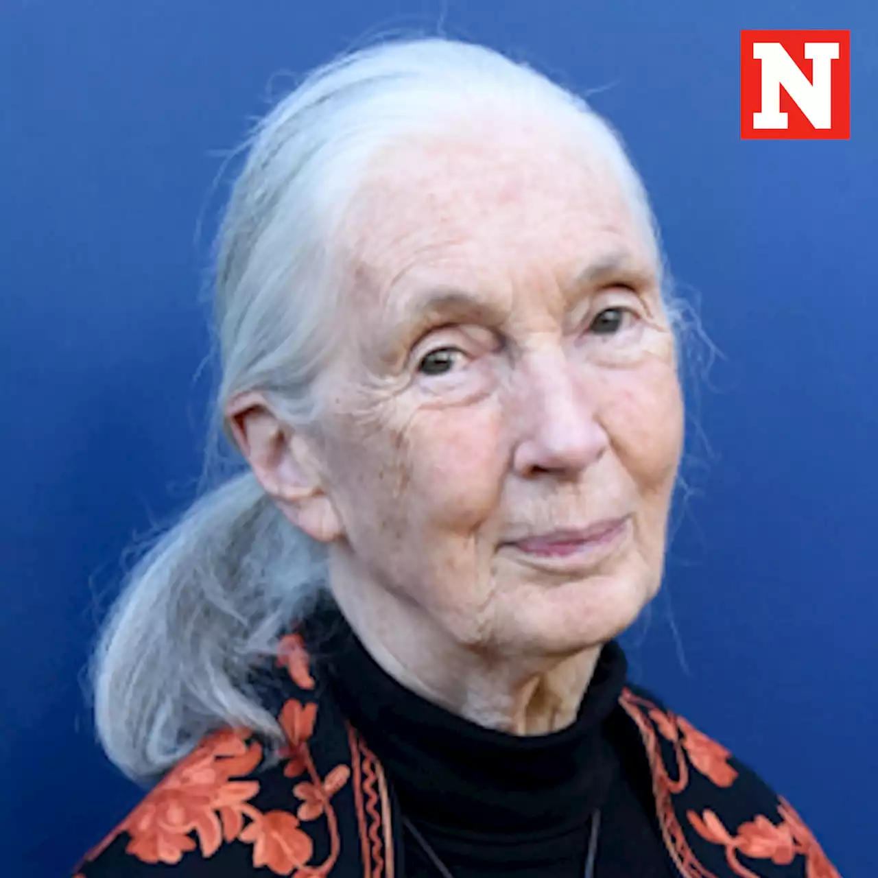 Dr. Jane Goodall reveals what the planet needs to fix 'horrible mess'