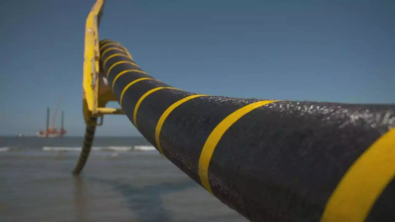 Wind op zee zal in de toekomst grootste deel van onze stroom leveren