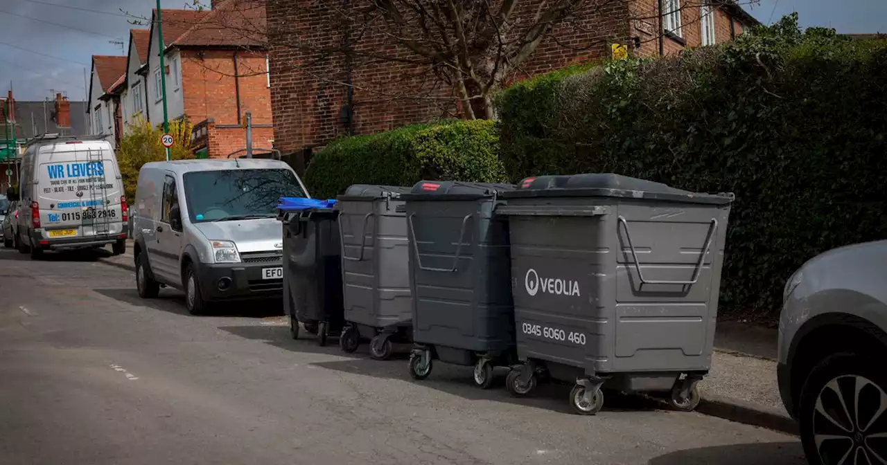 Frustration as large bins left on road attract 'rats and bugs'