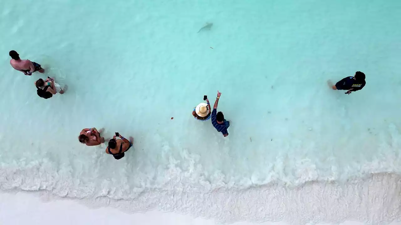 Maya Bay sucht die Balance zwischen Mensch und Hai