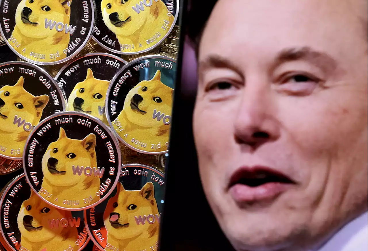 Elon Musk offers one million Dogecoin to anyone who can provide evidence of emerald mine rumor