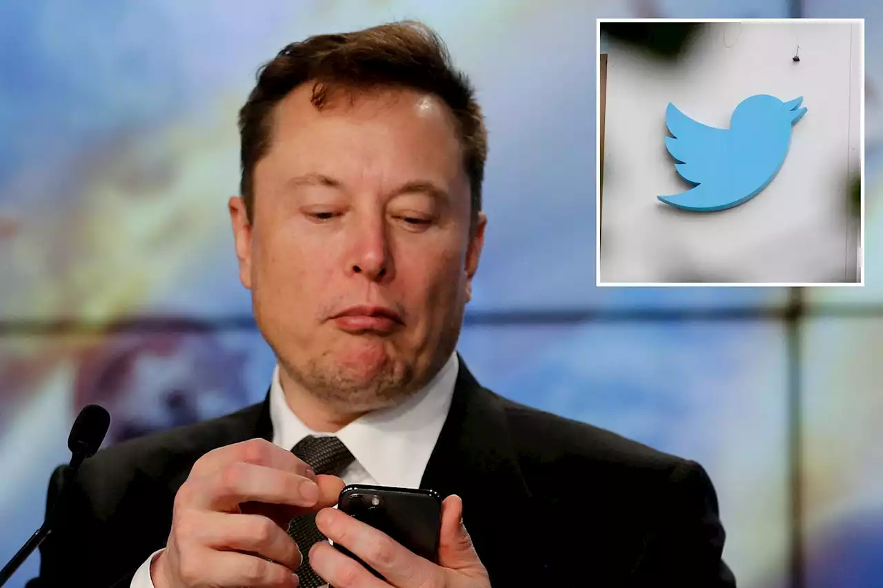 Elon Musk says Twitter will allow users to offer subscriptions to content, video