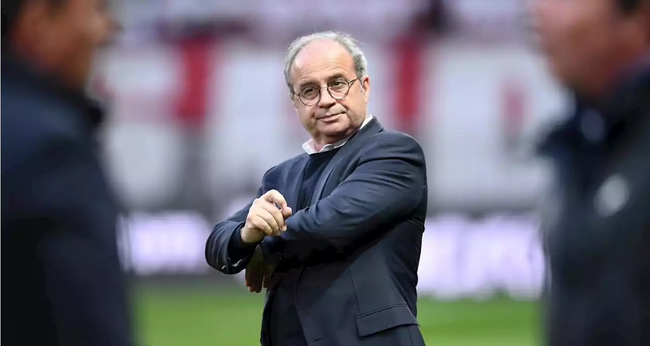 PSG : coup dur pour Osimhen, un colosse toujours pisté par Luis Campos