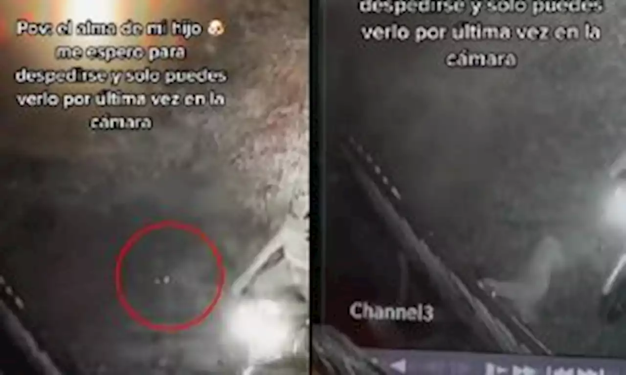 Graban a supuesto espíritu de perro despidiéndose de su dueña; video conmovió a millones - Pulzo