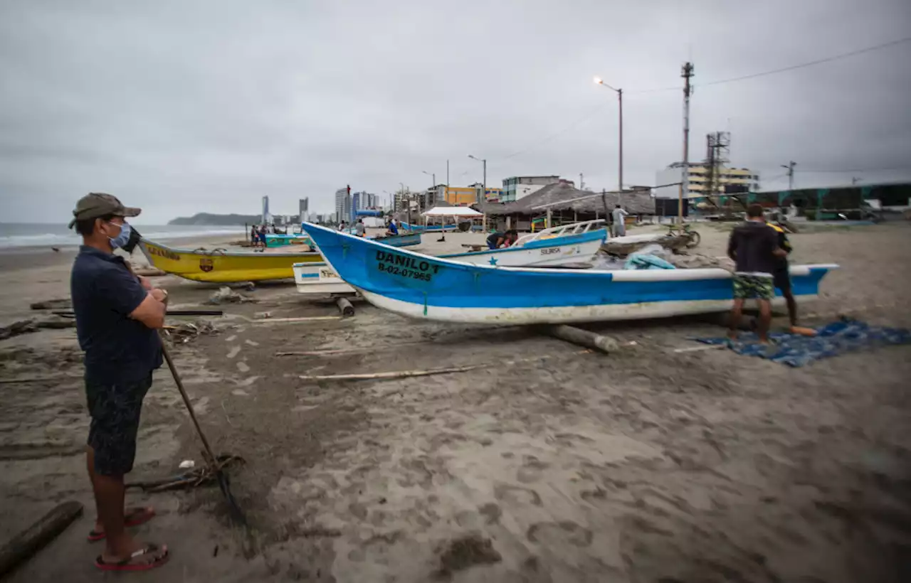 Un colombiano figura entre las víctimas de masacre en puerto de Esmeraldas, Ecuador - Pulzo