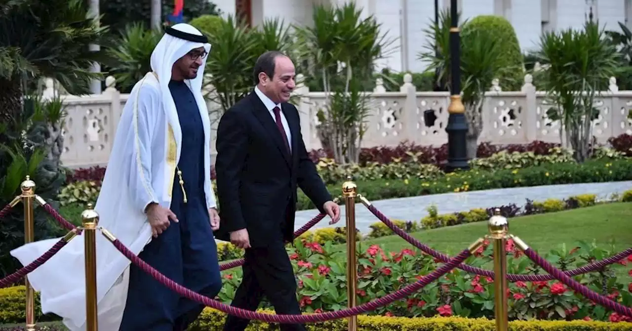 UAE president met by Egypt's Sisi on Cairo visit