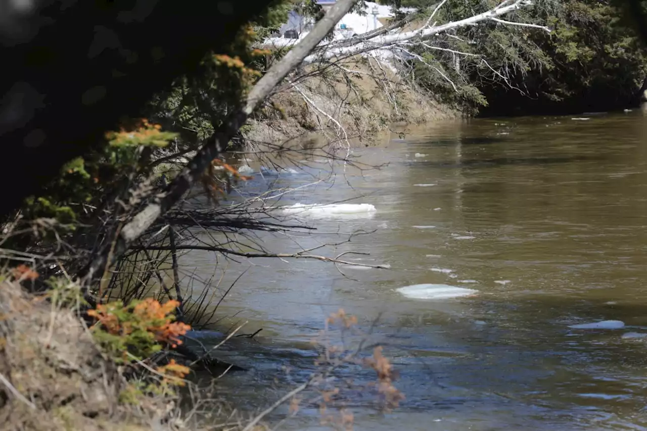 Goulais River under flood watch, MNRF says