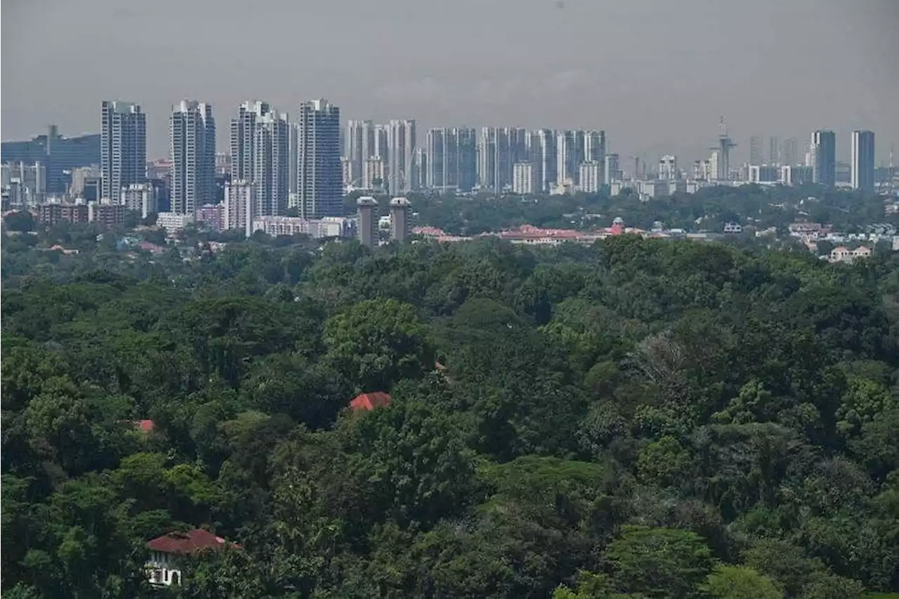 Uncertainty over sustainable buildings and costs stand in the way of Singapore’s green future: Report