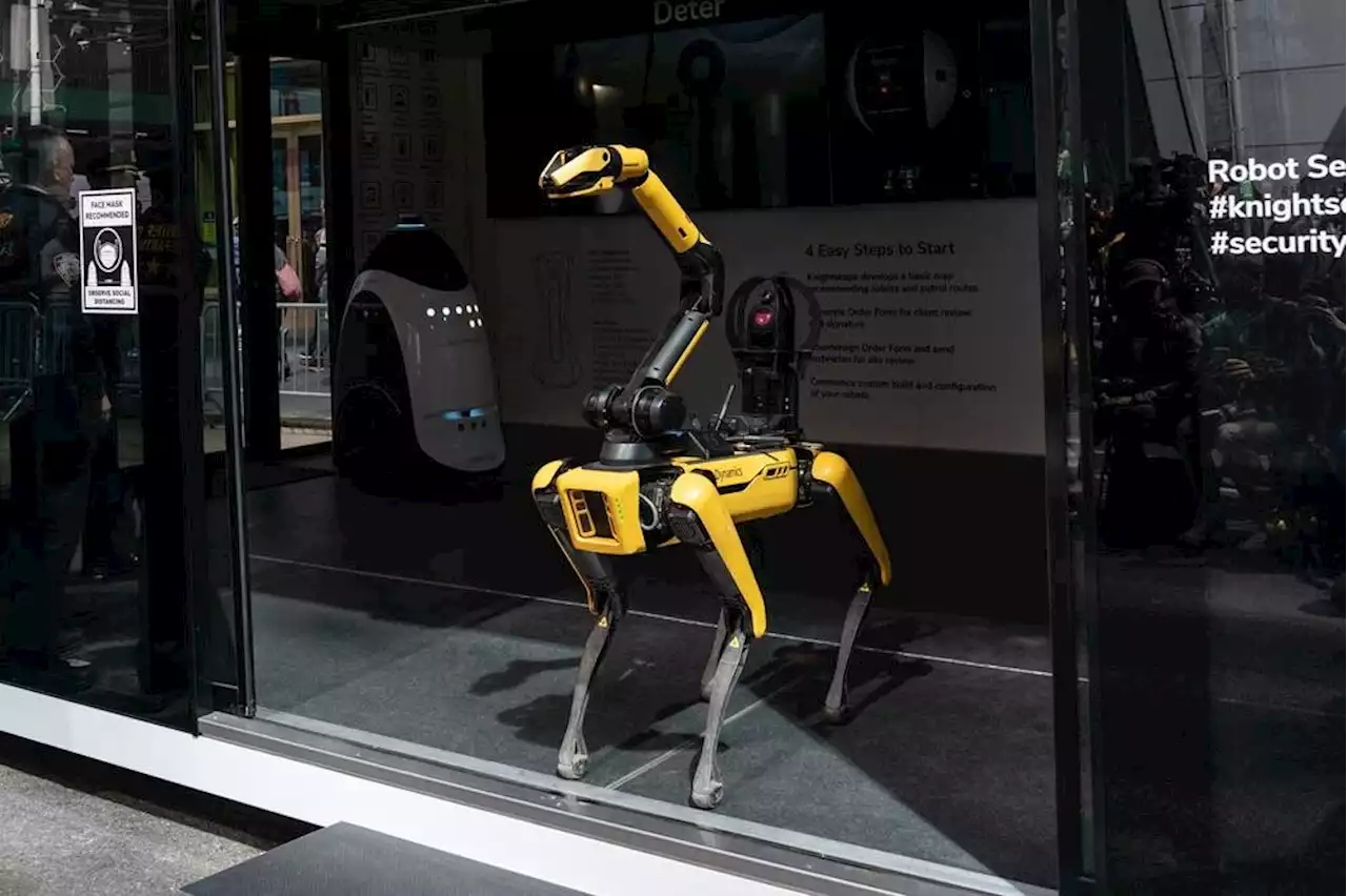 NYC Mayor: Digidog robots are back on the city's streets